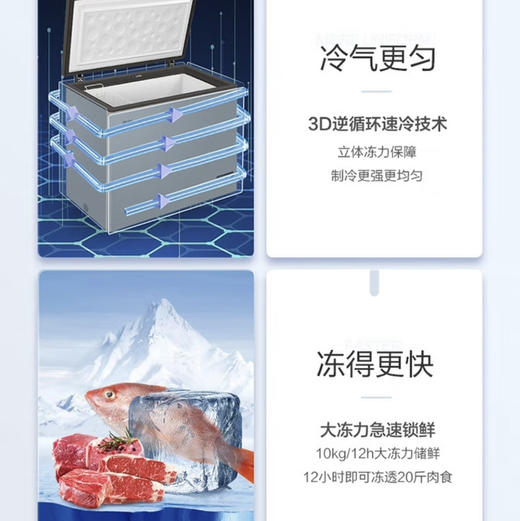 海尔（Haier）冰柜 BC/BD-203HMC 商品图13