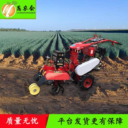 小型田园管理机/培土/开沟/起垄 商品图0