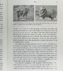 预售 【中商原版】经纬之间 纺织贸易缔造的商业文明史 The Fabric of Civilization 英文原版 Virginia Postrel 商品缩略图5