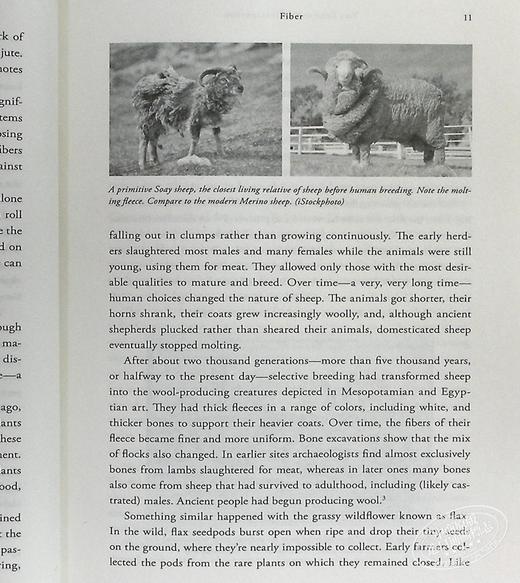 预售 【中商原版】经纬之间 纺织贸易缔造的商业文明史 The Fabric of Civilization 英文原版 Virginia Postrel 商品图5