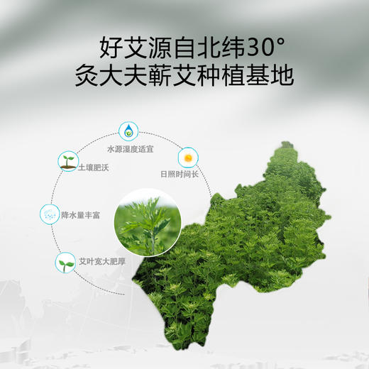 [2025]艾灸仪专用方形艾绒片中药敷贴款 30片一盒 商品图4