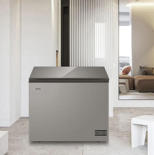 海尔（Haier）冰柜 BC/BD-203HMC 商品图12