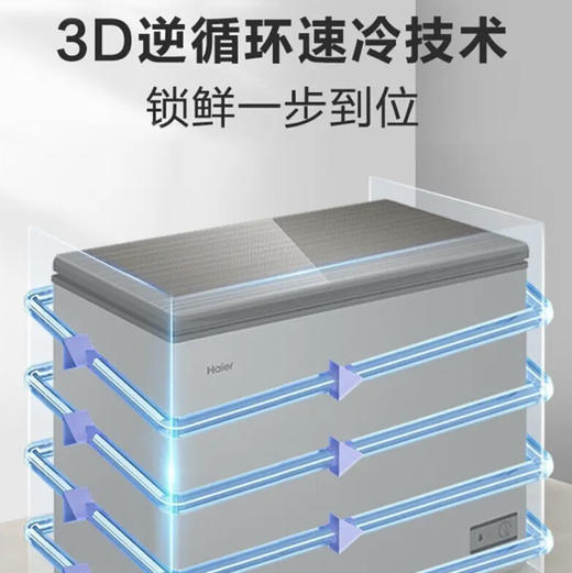 海尔（Haier）冰柜 BC/BD-203HMC 商品图5