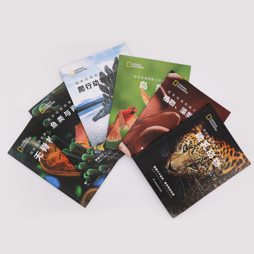 《国家地理图解万物大百科》第一辑·动植物（全6册） 商品图2