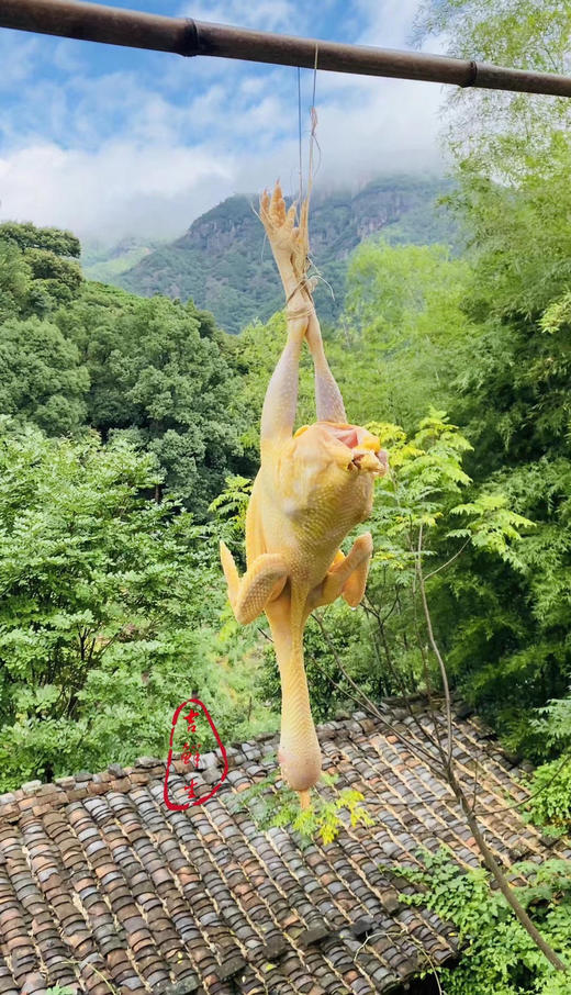 #请单独拍#鸡鸡复鸡鸡，富阳高山土鸡，香飘十里地！还有富阳土鸭同步上架！天气渐热 鸡蛋鸭蛋收到后要及时冷藏保存哦～ 商品图0