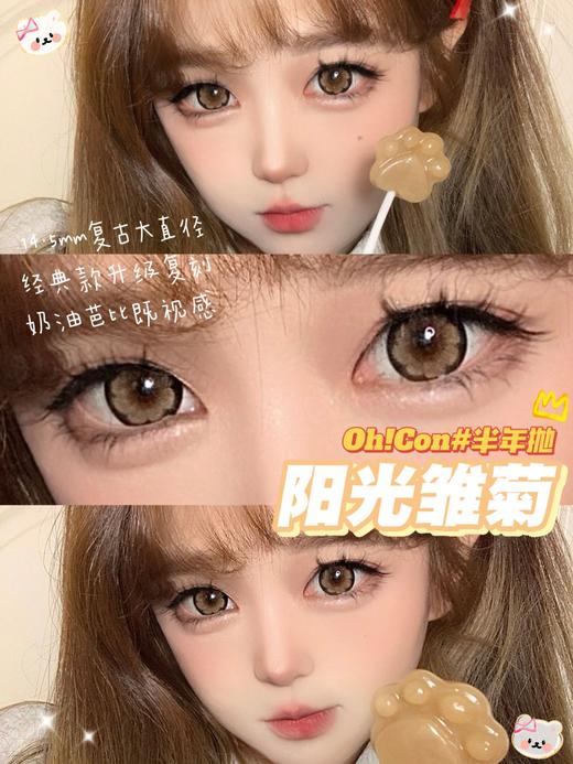 hancon&oh con 半年抛 阳光雏菊 直径14.5mm着色13.7mm 商品图9