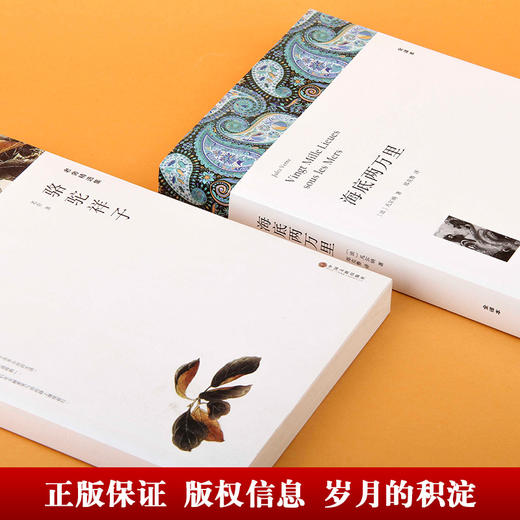 海底两万里+骆驼祥子 商品图3