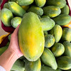 『海南树上熟红心牛奶木瓜』香浓甜美 顺滑细腻 商品缩略图5
