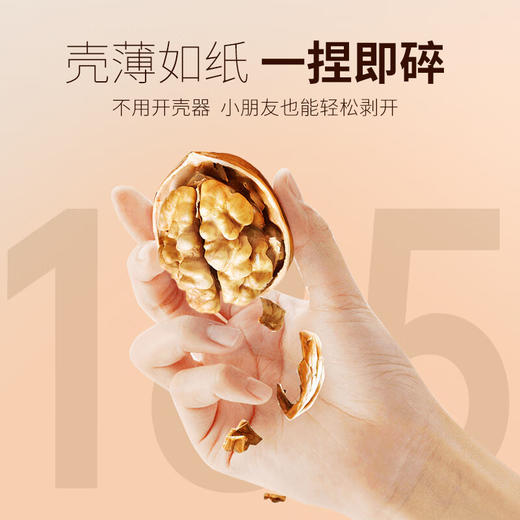 阿克苏185新疆纸皮核桃 2024新货礼盒 薄皮手剥  珍珠果 1KG/盒 商品图5