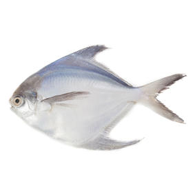 白鲳鱼(三去) White Pomfret 350g-450g