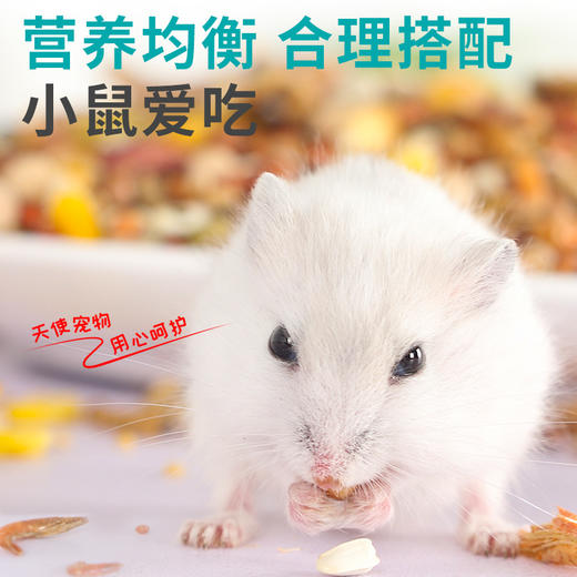 仓鼠粮豪华海鲜/果蔬主粮400g 小仓鼠饲料 多种谷物营养均衡  现货批发 商品图1