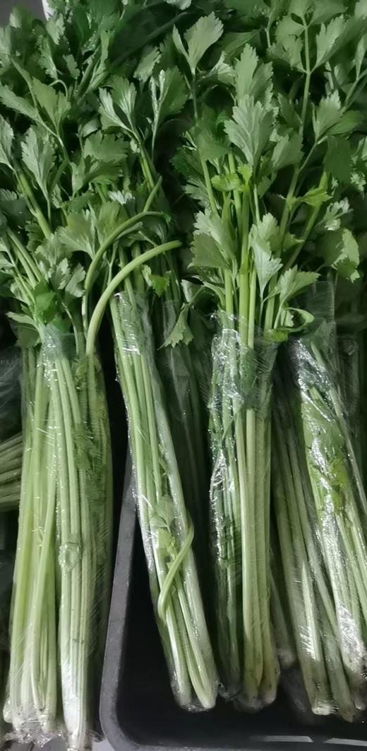 鸿翠园 有机芹菜 商品图6