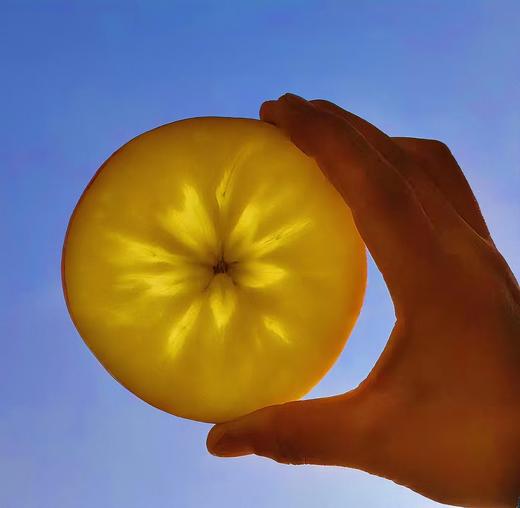 【2023新果】新疆阿克苏冰糖心苹果（江浙沪皖包邮） 商品图1