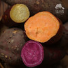 生态三色薯  | 合作生产 *  Ecological Tricolor sweet potato  | Coproduction 商品缩略图4