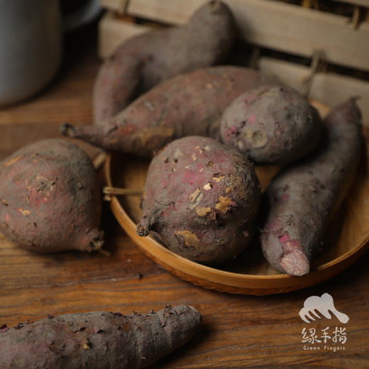 生态三色薯  | 合作生产 *  Ecological Tricolor sweet potato  | Coproduction 商品图5