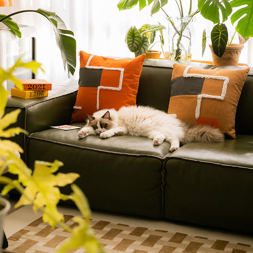 蒙德里安系列靠包秋冬棉质帆布靠枕 商品图1