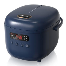 小熊（Bear）DFB-B20N2 电饭煲2L 智能家用多功能迷你小型电饭锅全自动柴火饭预约煲汤煮粥锅煮饭煲