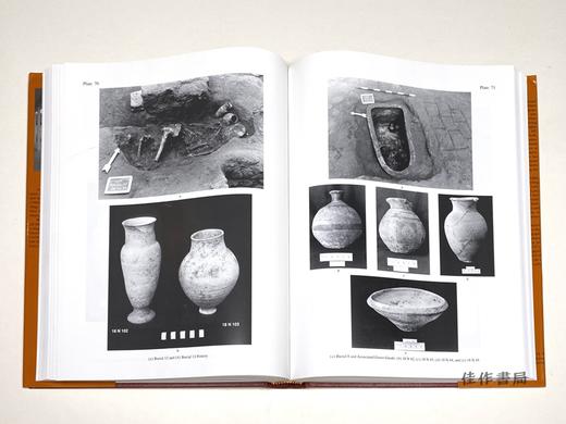 Early Dynastic to Akkadian Transition: Nippur V - the Area WF Sounding at/早期王朝到阿卡德的过渡：尼普尔五世 - WF 探空地 商品图4