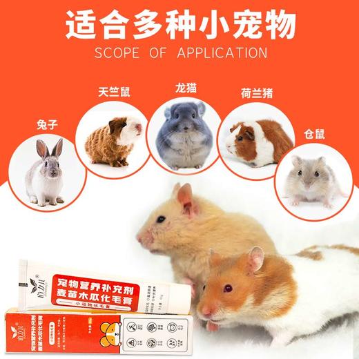 道力其小动物化毛膏30g/60g 小规格 更实用 仓鼠兔子营养保健品现货批发 商品图2