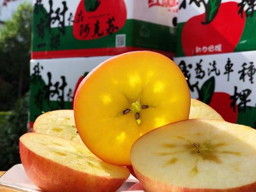 新疆阿克苏冰糖心苹果（江浙沪包邮）2022 商品图3