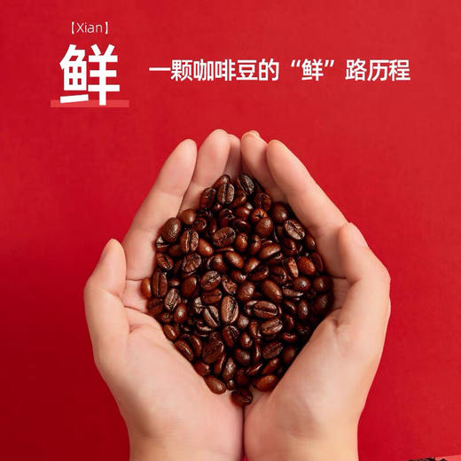 隅田川意式咖啡豆深度烘培油脂丰富特浓手冲现磨美式黑咖啡454g袋 商品图1
