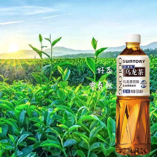 三得利乌龙茶饮料无糖低糖茉莉橘皮0脂清爽茶饮料奶茶原料瓶装500ml 商品图1