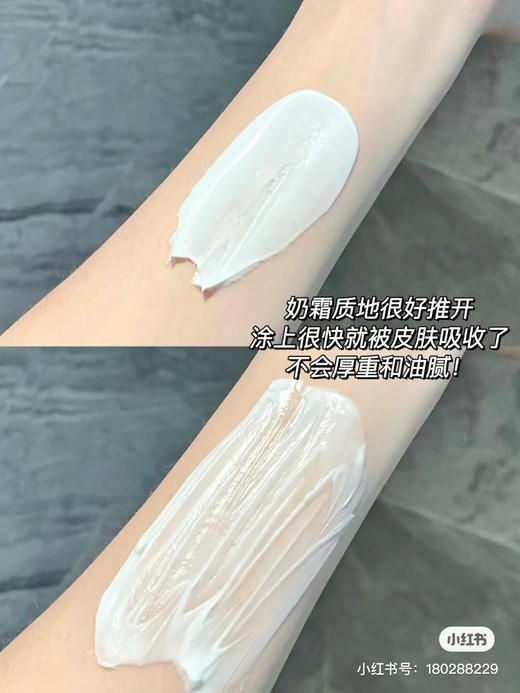 雅顿白茶身体乳400ml 商品图3
