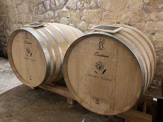 Lelarge Pugeot  Les Charmes de Vrigny Extra Brut 蒲公英酒庄可爱诱惑一级园香槟 商品图3