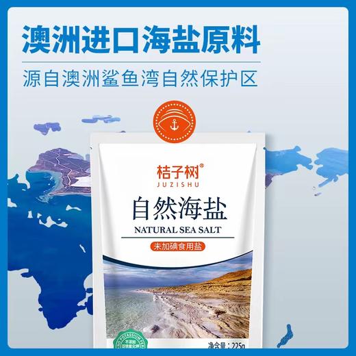 【产地直发】桔子树自然海盐 未加碘 天然咸 自然鲜 健康盐  澳洲进口原盐  225g/袋     商品图3
