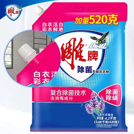 雕牌除菌除螨洗衣粉4.2kg 商品图0