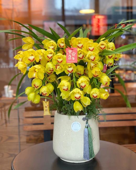 【大花蕙兰盆栽】金玉满堂大花蕙兰盆栽1盆/份 带有3支花剑（韵达/圆通） 商品图3