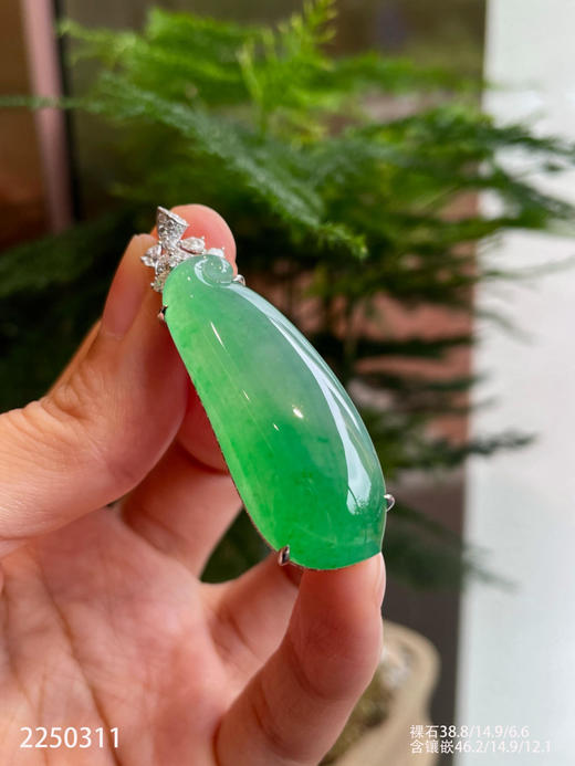 木纳艳绿冰种福瓜 79999【2250311】 商品图5