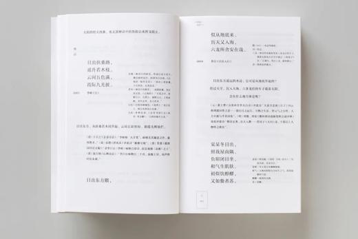 《唐诗名句类选笺释辑评·天文、地理卷》丨中国2022年度“zui美的书”获奖作品 商品图9