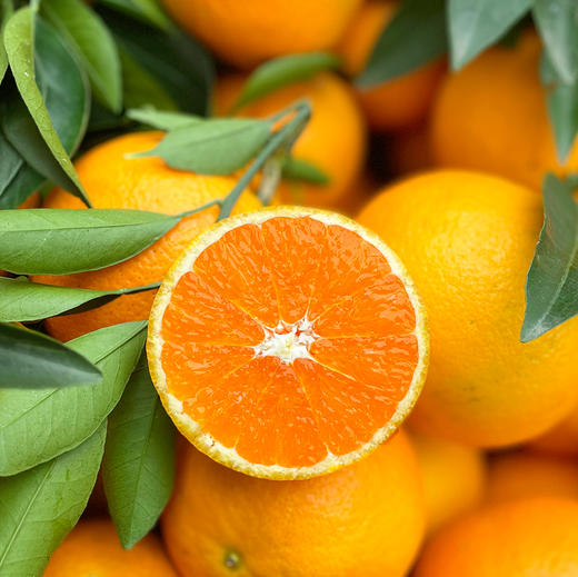 『秭归九月红橙+中华红橙』爽滑爆汁，肉质细嫩，酸甜可口 商品图0