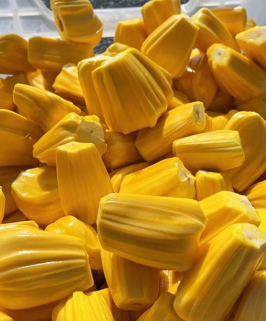 宏丰精选  越南红肉菠萝蜜  剥肉出售  活动价19.8一斤 商品图5