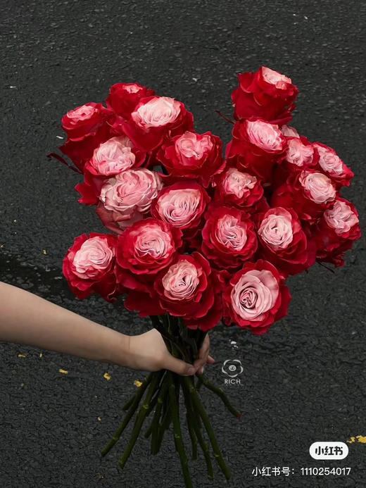 厄瓜多尔-【Cherry Lips】樱桃 商品图0