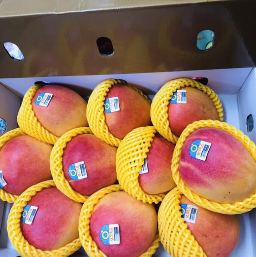 澳大利亚Mango芒果香气十足，口感细腻光滑！澳洲空运直达，Ole、高岛屋等商超同款哦[得意] 商品图14