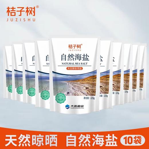 【产地直发】桔子树自然海盐 未加碘 天然咸 自然鲜 健康盐  澳洲进口原盐  225g/袋     商品图0