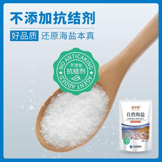 【产地直发】桔子树自然海盐 未加碘 天然咸 自然鲜 健康盐  澳洲进口原盐  225g/袋     商品图4
