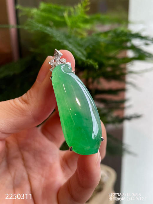 木纳艳绿冰种福瓜 79999【2250311】 商品图0