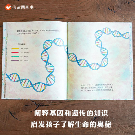 信谊 世界精选图画书 :DNA 基因和遗传的秘密  精装3-8岁 商品图1
