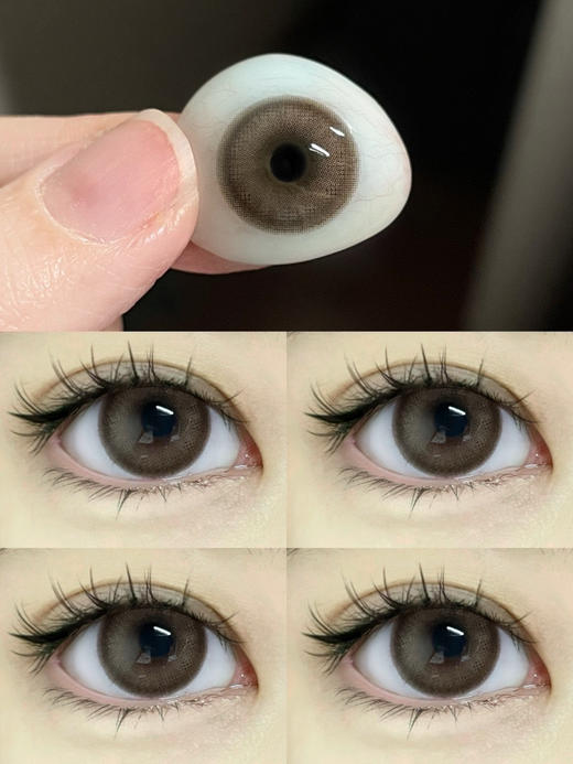 年抛 Swancon 伯爵红茶 14.5 着色13.9 棕咖 商品图3