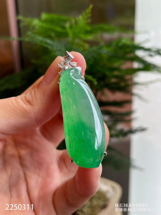 木纳艳绿冰种福瓜 79999【2250311】 商品图6