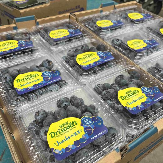 ✨Driscoll's蓝莓王，纯正L25，新鲜果粉足，甜甜脆脆爽爽。 商品图8