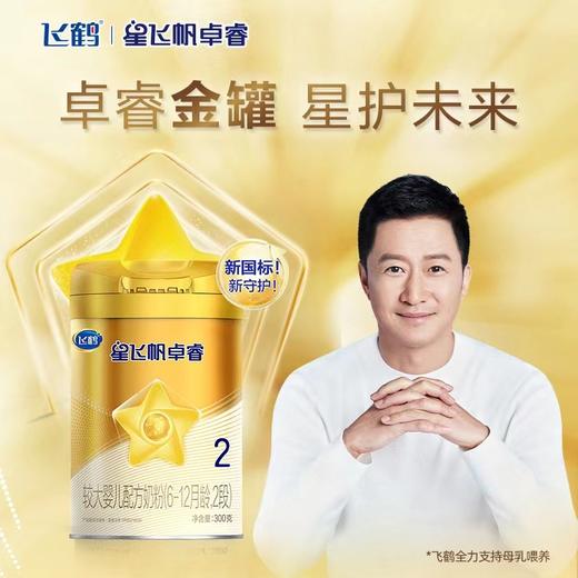 飞鹤卓睿2段300g 商品图0