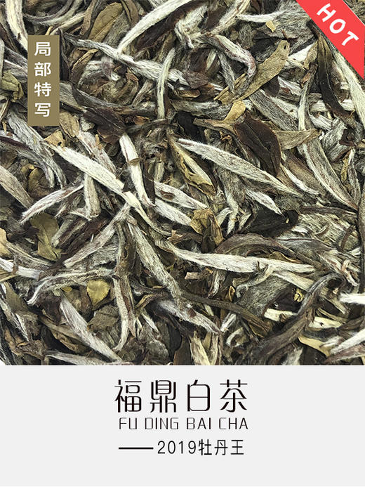 2019年牡丹王 商品图2