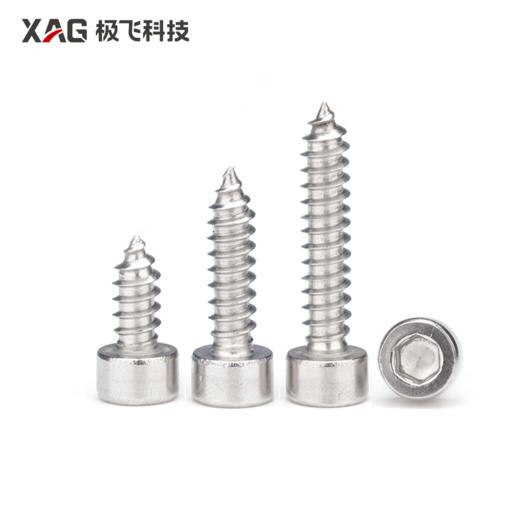 ST 内六角圆柱头自攻螺丝（不含螺帽） 商品图0