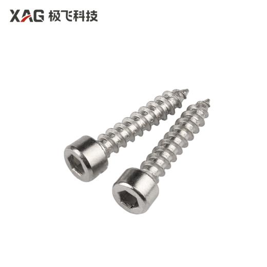 ST 内六角圆柱头平尾/尖脚自攻螺丝 商品图1