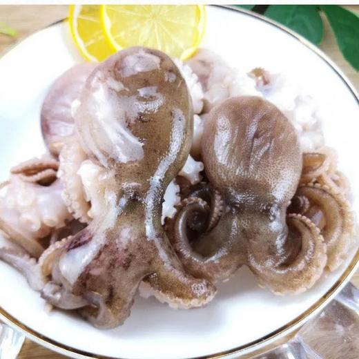 威豪佰味深海八爪鱼248g 商品图2