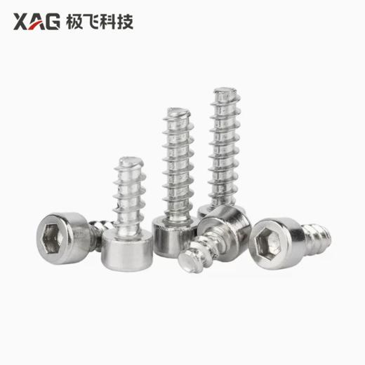 ST 内六角圆柱头平尾/尖脚自攻螺丝 商品图0